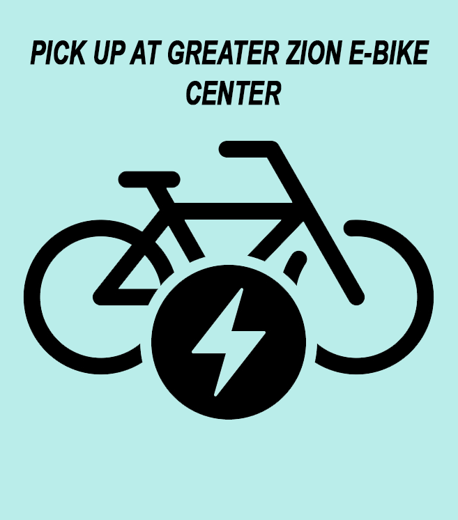 zion bike rental electric